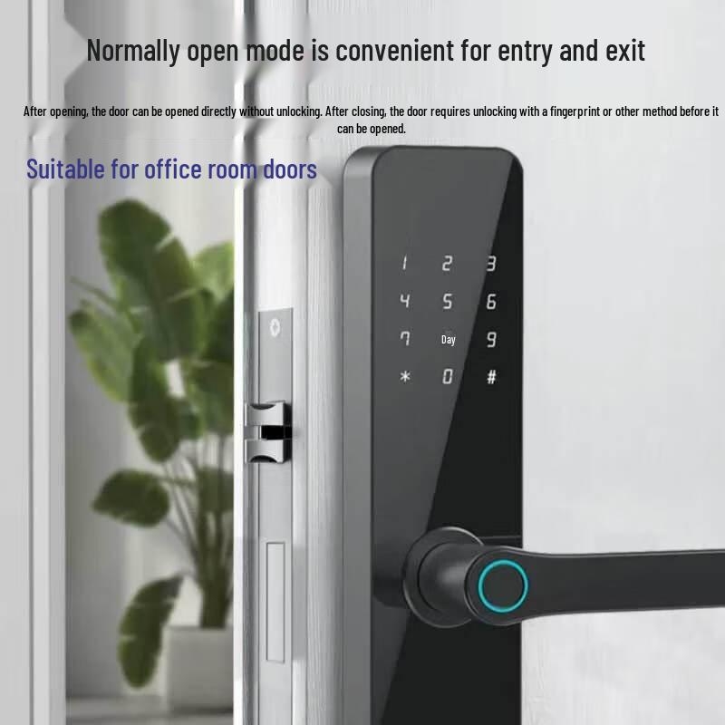 LePu S2 7-in-1 Smart Door Lock