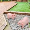 2pcs Landscape Lawn Garden Courtyard Resin High Simulation Piglet Decoration Animal Pig Ornament