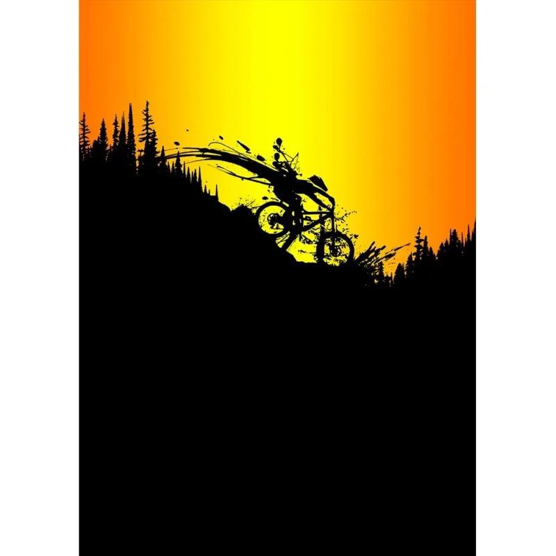 Vintage Mountain Bike Posters Print Canvas Painting Sport Fans Wall Art Picture For Living Room Home Decoration