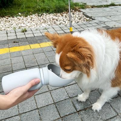 Foldbar hundevandflaske Bærbar lækagesikker vanddispenser med drikkeskål Silikone Sammenfoldelig kæledyrsvandflaske til hunde Katte Vandreture Gåture