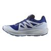 Pulsar Trail