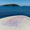 Pastel Palms Reserved Beach Towel Quick Drying Travel Towel Unisex Soft Comfortable Quick Dry Portable for Men Women Beach