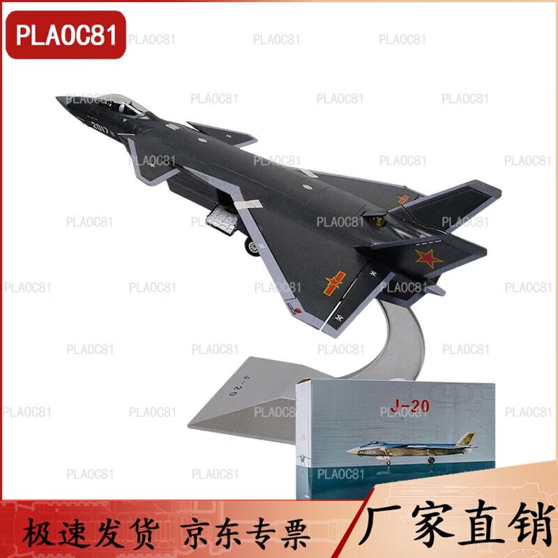 J-20 Stealth Fighter Jet Model