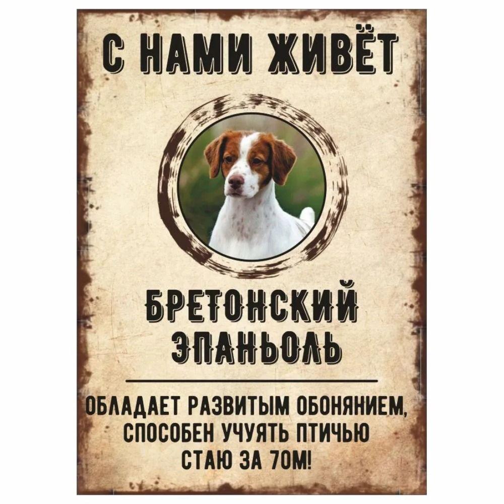 Schild, dekorativ, GEFAHR HUND, Schnauzer lebt bei uns, 20x30cm