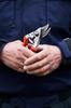 Felco Model 15 Red Secateurs,