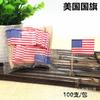 100Pcs Disposable Flag Toothpicks, Food Picks with Mini Flags for Fruit Cocktail Cake Steak, Bar Party Decorative Skewers