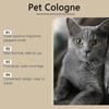 Coconut Pet Deodorizing Spray - Fresh Indoor Odor Eliminator for Cats & Dogs, 100ml