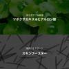 VT Cosmetics Reedle Shot 100 & 300 Set Sensitive Dry Skin Pore Care Serum CICA Korean Cosmetics