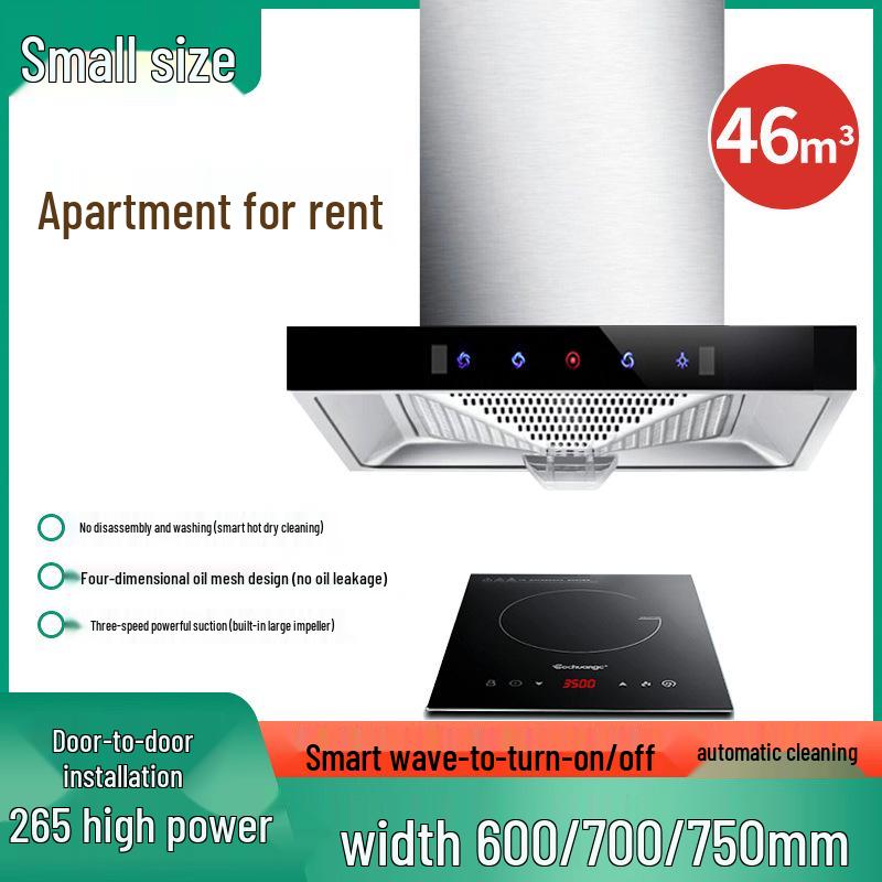 Compact 750mm Stainless Steel Range Hood & Gas Stove Set with Top-Mounted Large Suction Power for Small Kitchens.