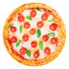 Soft Washable Simulation Pizza Warm Keeping Dog Cat Blanket Pets Sleep Rest Mat Pad