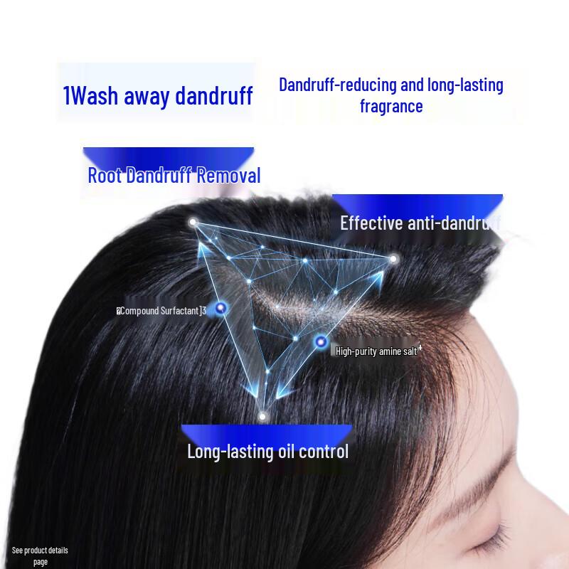 Head & Shoulders Anti-Dandruff Oil Control Shampoo