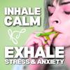 Anxiety Relief Chew Breather Stick Essential Oil Infused Peppermint Eucalyptus Calming Focus Tool for Stress Management On The