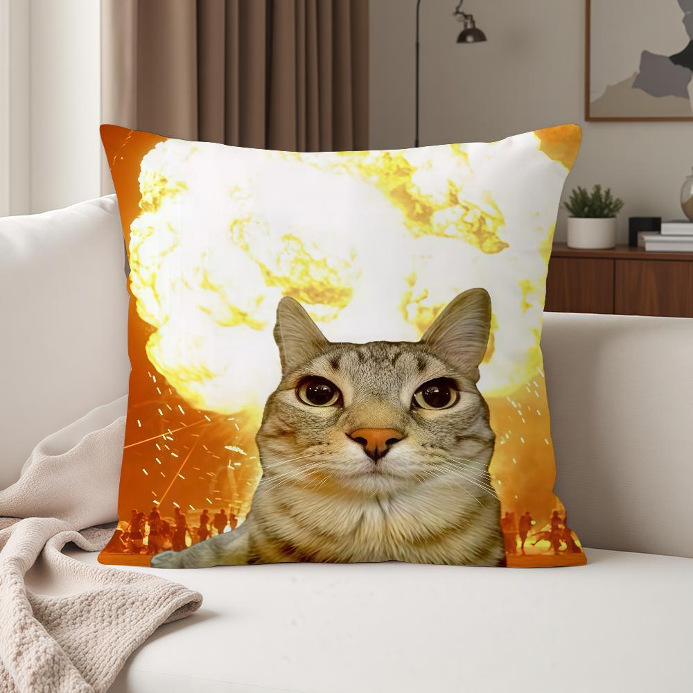 

Cat Meme Kawaii Animal Funny Pillow Case Suitable For Bedrooms Living Rooms Cars Home Decoration 12x12Inch