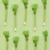 2pcs Silvervine Celery Shape Catnips Toy Interactive Chew Stick For Indoor Cats Dental Health And Play