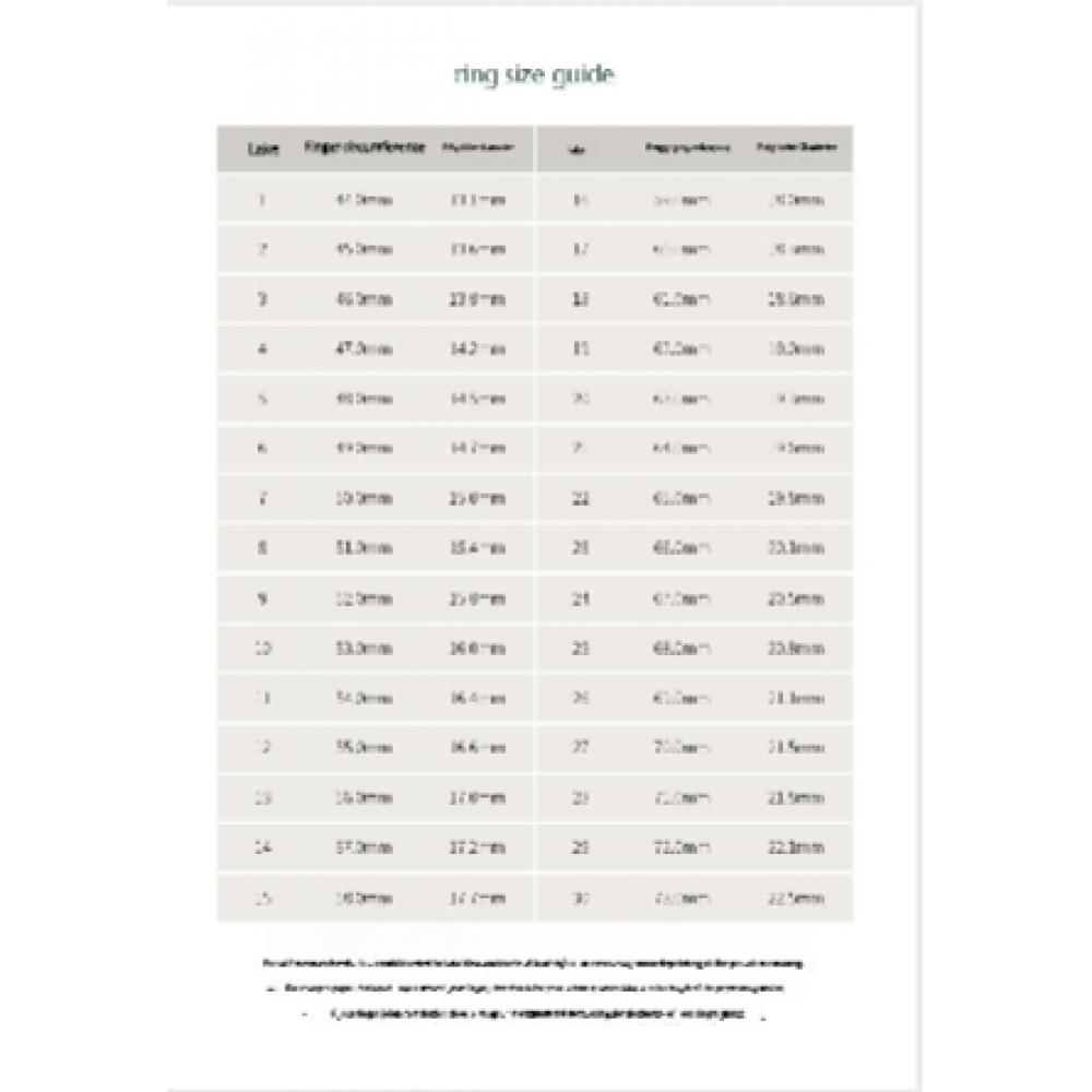 Verte 925 Silver Brin Layered Ring   cinq.Silver.229