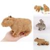 Capybara Plush Toy Soft And Cute Stuffed Animal For Kids And Adults
