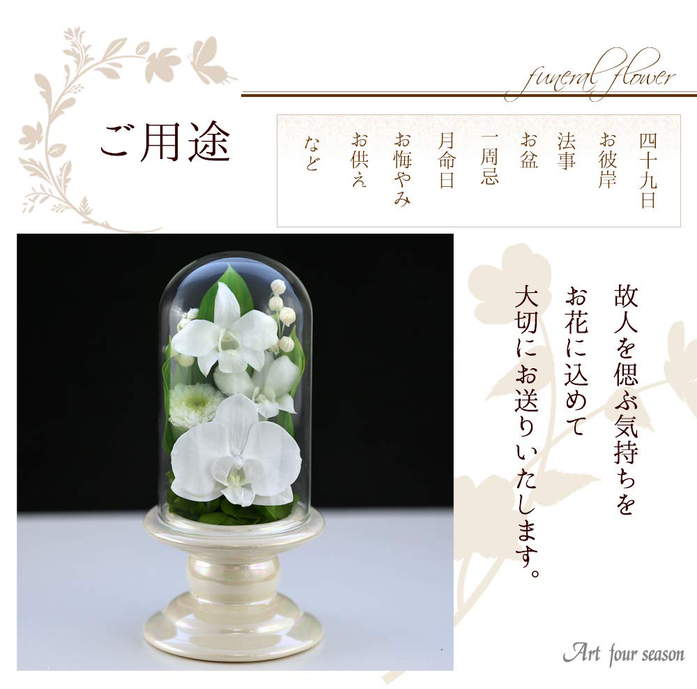 Art for Seasons Buddhist Flowers (White Mini Phalaenopsis Orchid Mini Glass Preserved Flowers)