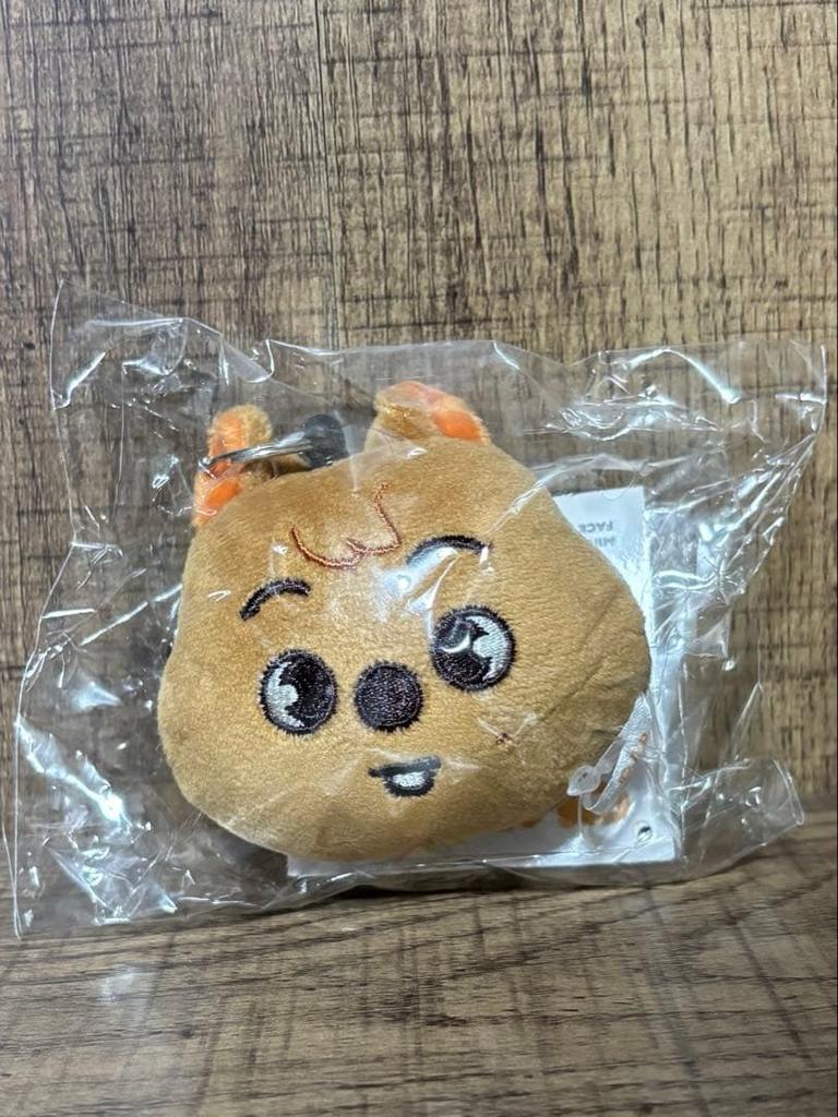 [USED] Stray Kids SKZOO Mini Face Key Ring Han