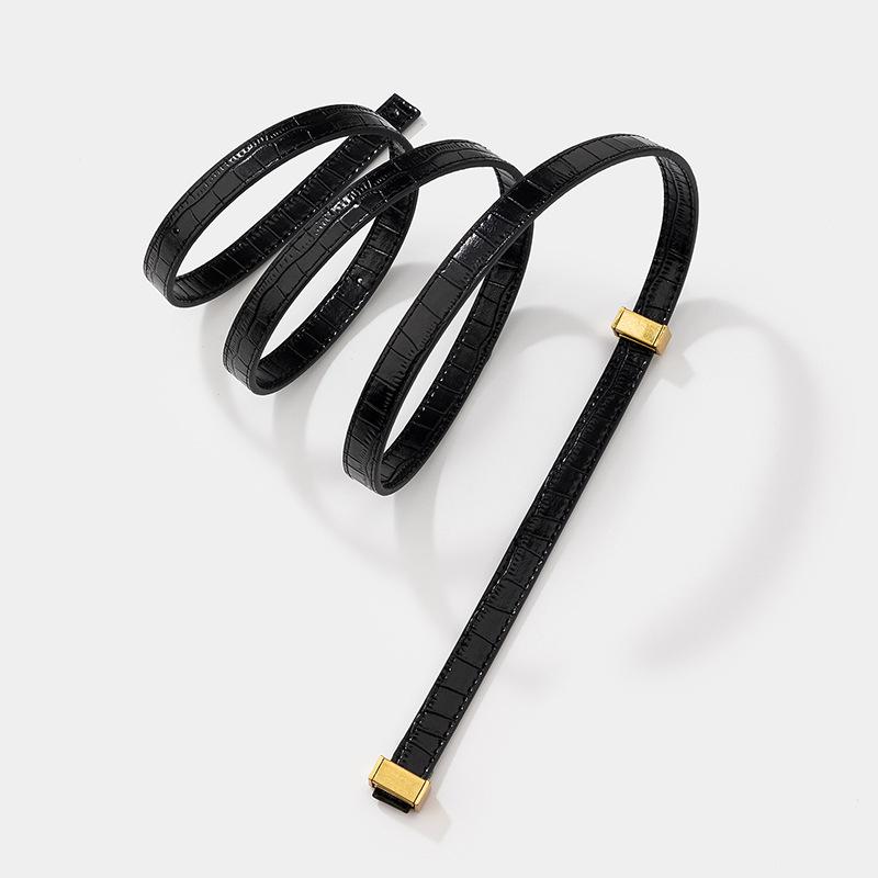 Versatile and Fashionable Bag Replacement Shoulder Strap Portable Thin Shoulder Strap Three-gear Adjustment New Bag Accessories