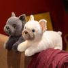 Bebek ve Peluş Oyuncaklar – Doldurulmuş ve Peluş oyuncak hayvanlar