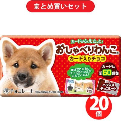 Shoei Delicy Talking Doggie 1 Piece X 20 Sets Chocolate