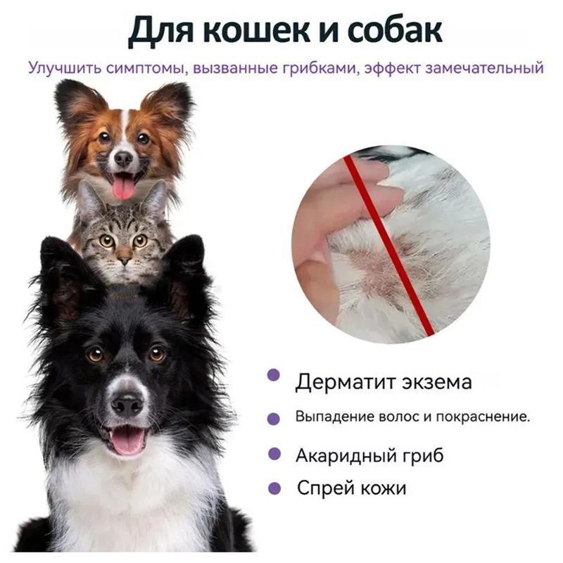 Cat Skin Care Spray 100ml Natural Formula for Itchy Skin Relief Treats Fungal Bacterial Infections