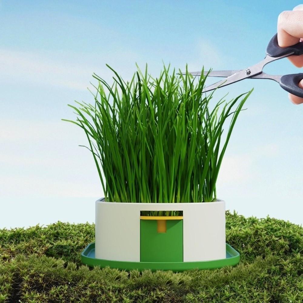 Removable Cat Grass Planter Box Layered Design Hydroponic Cat Grass Box  Home Decor