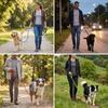 Multi Color Pet Rope Round Rope Pet Walking Strap Small Dog Dog Leash  Pet Training