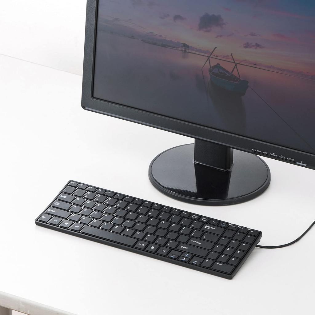 Sanwa Supply English Layout USB Slim Keyboard (Černá) SKB-E2UN