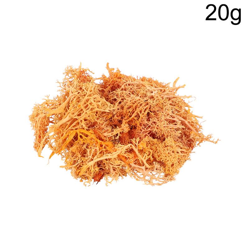 20g Artificial Preserved Moss Eternal Life Green Grass for DIY Crafts Mini Landscape Living Room Home Garden Decoration Supplies