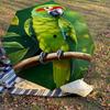 1PC Parrot, Branch Automatic Open/Close Umbrella Compact Folding Umbrella with 8-Rib Shaft Lightweight Esign, Highquality Fabric1176A