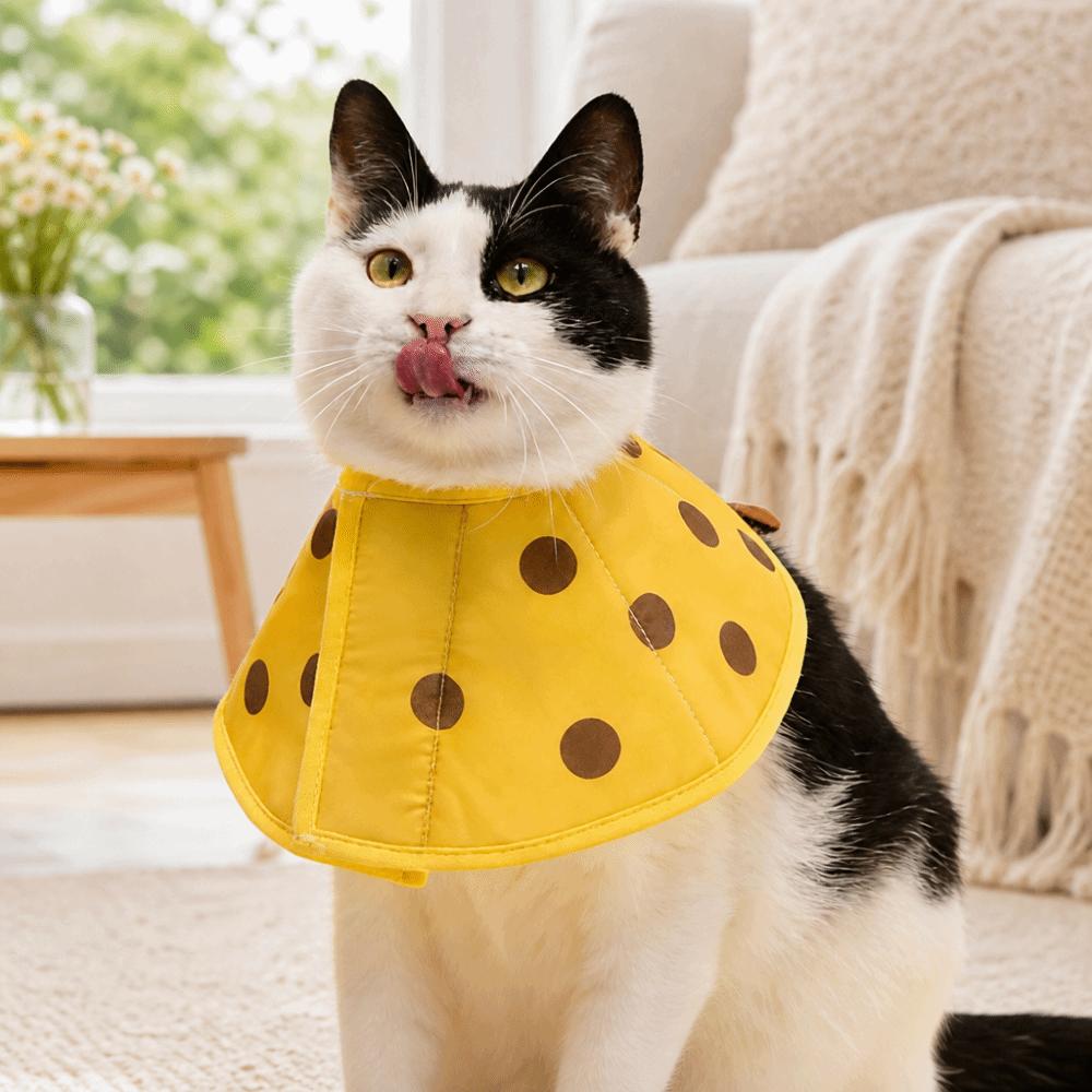 Bees Cat Elizabeth Collar Strawberry Cat Dog Grooming Cover Dog Recovery Collar for Dogs Cats