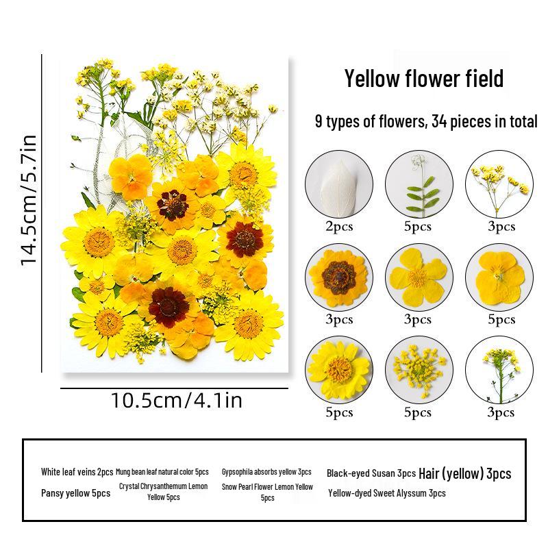 DIY Dried Flower Specimen Sticker Set for Kids: Handmade Pressed Flower Frames & Resin Bookmark Craft Kit