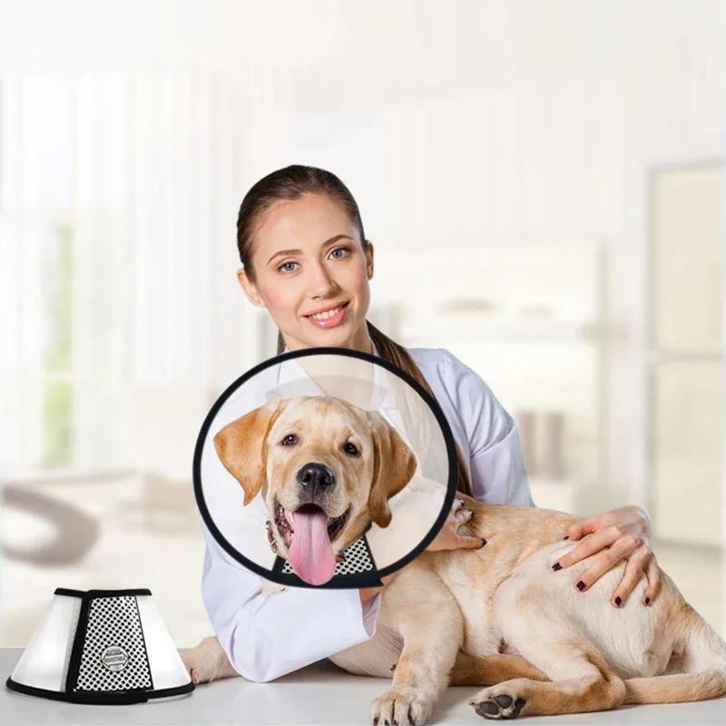 Pet Elizabeth Collar Soft Puppy Cat Anti Bite Recovery Cone Small Dog Wound Healing Neck Ring Post Surgery Protective Accessorie