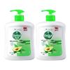 Natural Clean Hand Wash 500g X 2 Pack
