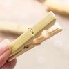 Stainless Steel Anti-wind Clothes Clips (60-pack)