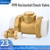 Brass One-Way PPR Check Valve All-Copper Backflow Preventer