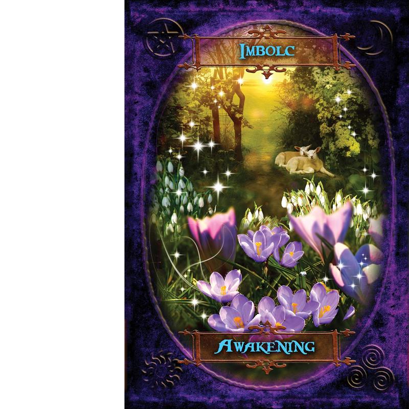 Witches' Wisdom Oracle Cards
