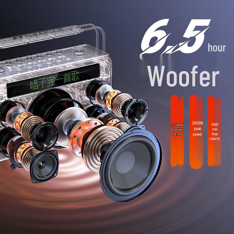 Sansui E96 Portable Karaoke Bluetooth Speaker