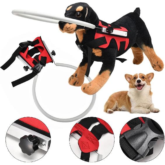 Adjustable Pet Anti-Collision Circle, Blind Dog Harness Vest, Blind Dog Anti Collision Ring, Cataract Protective Ring for Visually Impaired Dog