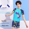 Youyou Kids' Dinosaur Quick-Dry Split Swimsuit Set