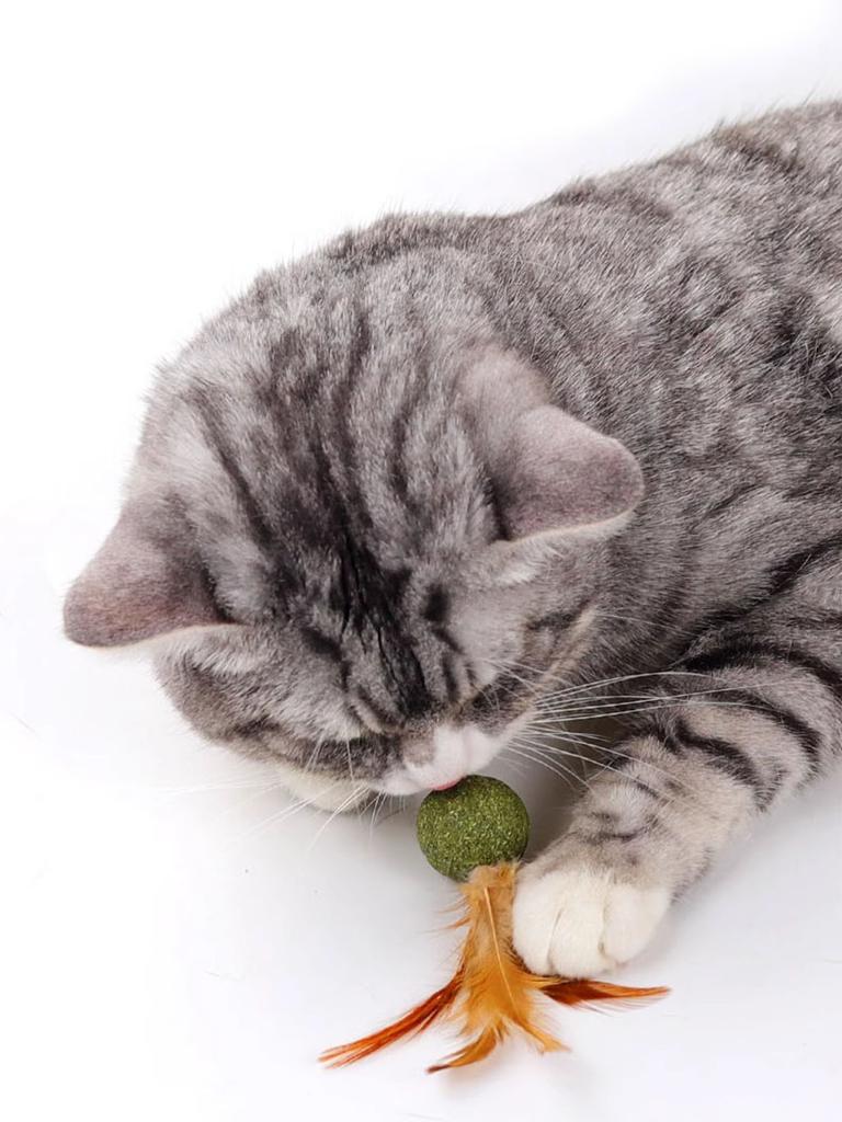 Cat Toy Ball Feather Funny Cat Mint Ball Plus Feather Mint Ball Throwing Toys Interactive Plush Toys Catnip Pet Supplies
