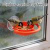 Bird Feeder Window Suction Cup Holder Makes For Housewarming Or Birthday Present For Your Family And Friends