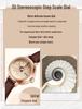 Sanda Korean Style Women's Waterproof Steel & Leather Strap Business Watch