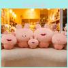 Assamimi Cartoon Plush Cushion With Soft Short Pile Material For Bedroom Decor