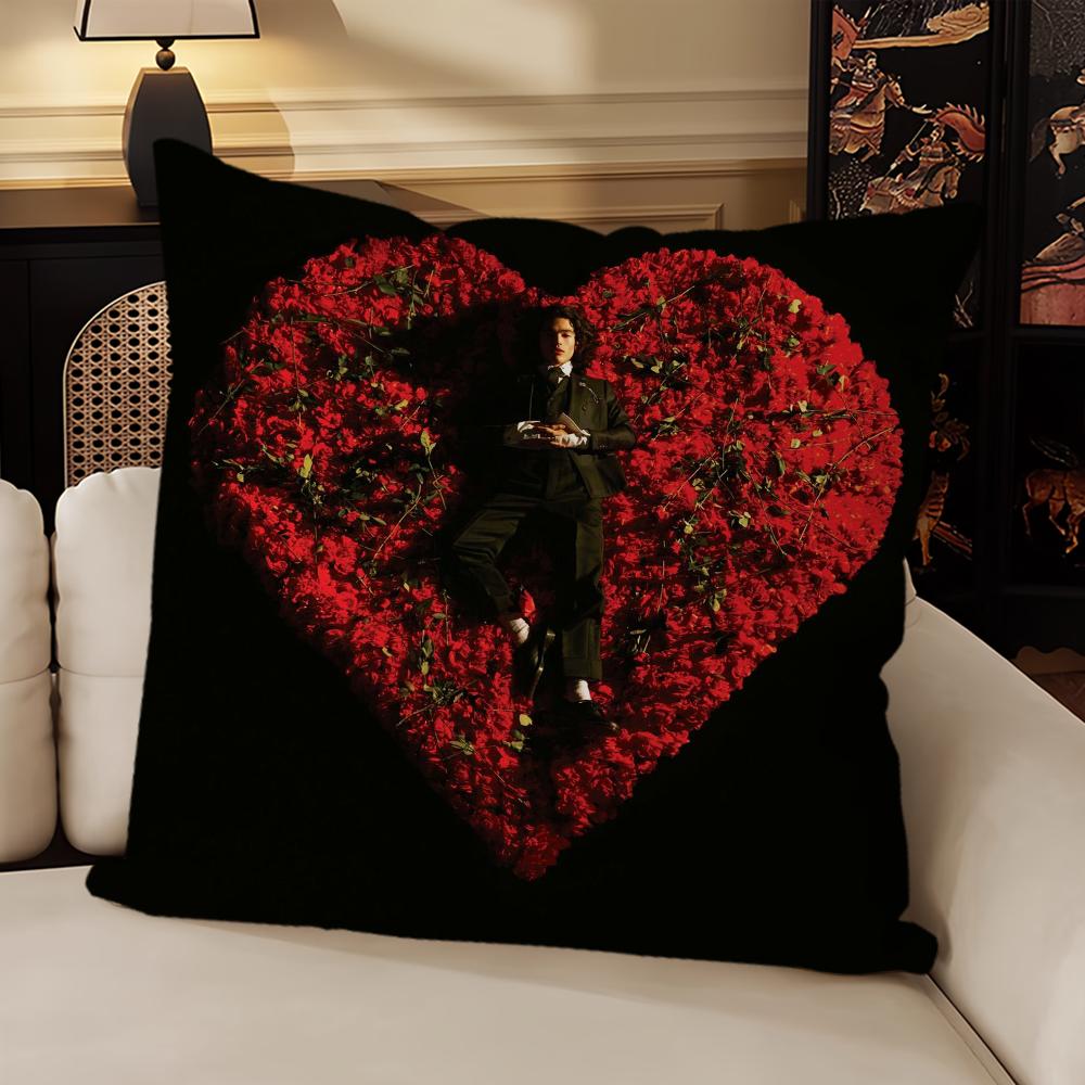 Sänger Conan Gray Feiertage Neue Kissenhülle Sofa Wohnzimmer Schlafzimmer Kopfteil Rückenlehne Kissen Quadratisches Kissen Nickerchenzeit