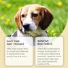 Daily Use Pet Toilet Training Sprays 150ml Bathroom Training Extracts For New Pet Parent Efficient Defecation Inducer