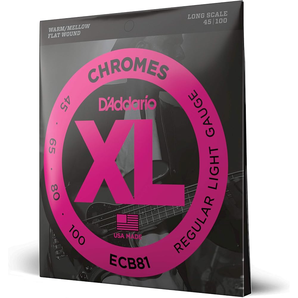 D'Addario Daddario Bass String Flatwound Long Scale .045-.100 ECB81 [Domestic Genuine]