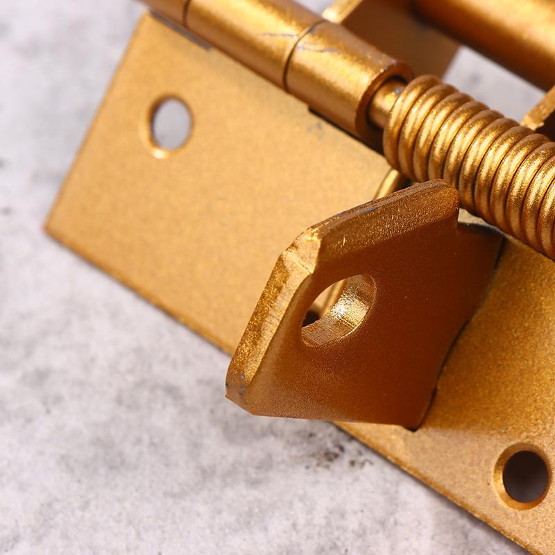 Hardware Multifunktionale Abnehmbare Selbstschließende Federband Scharnier Automatischer Türschließer Scharnier Fmöbelbeschläge Positionierscharnier