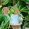 600pack Colorful Garden Sign with Spiked Bottom Plastic Waterproof Hanging Label for Secure Placement in Soil or Pots
